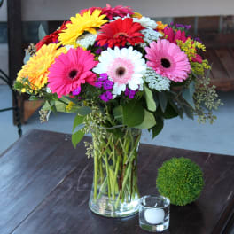Colorful gerbera daisy bouquet in a clear glass vase