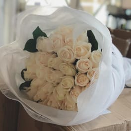 Bouquet of pale cream roses wrapped in white mesh paper