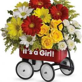 Bouquet of daisies and yellow roses in a red wagon with "It's a Girl!" text