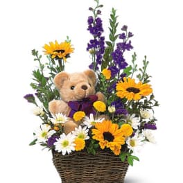 Teddy bear in a basket with yellow sunflowers and white daisies
