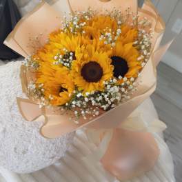 Shine sunflower