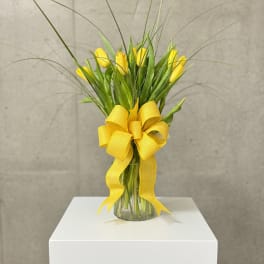 Sunny Yellow Tulips