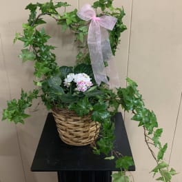 Ivy Heart Basket