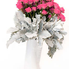 Pink rose bouquet in a white vase with silver foliage