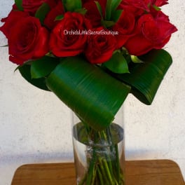 Red roses arranged in a clear glass vase with broad green leaves