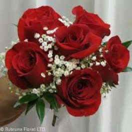 Bouquet of red roses with small white filler flowers