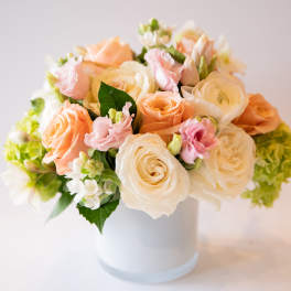 Blush