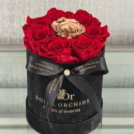 Red roses and a gold rose in a black hatbox with a ribbon