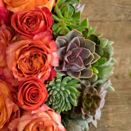 Bouquet of orange roses and mixed succulents on a wood surface