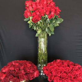 Madly in Love.12 dozen roses.