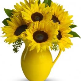 Yellow sunflowers in a yellow pitcher vase