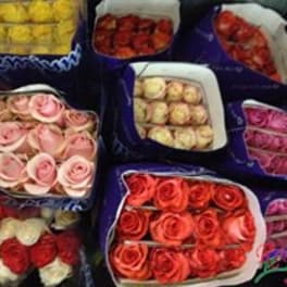Assorted bouquets of roses in purple wrapping
