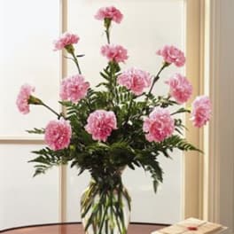 Pink carnations in a clear glass vase on a table
