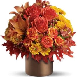 Autumn Splendor