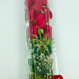 Tall box of red roses with a red ribbon bow