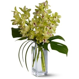 Tall arrangement of green cymbidium orchids with large tropical leaves in a clear glass vase