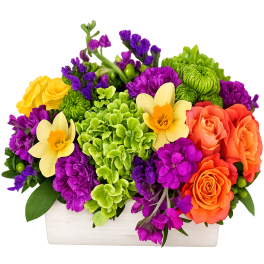 Low rectangular arrangement of orange roses, yellow daffodils, purple flowers, and green hydrangeas in a white box
