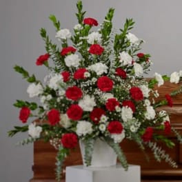 Large Red and White Carnation Tribute