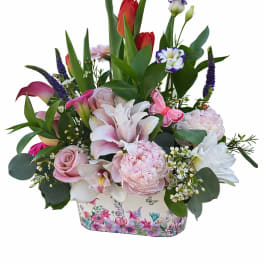 Butterflies and Blooms from Holland
