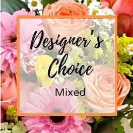 Designer's Choice