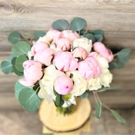 Bouquet of pink and white peonies with round eucalyptus leaves