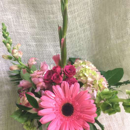 A little Pink me Up - Varied Pink Blossoms
