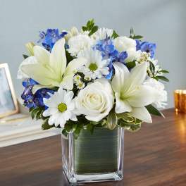 Healing Tears Blue & White