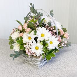Basket arrangement of white daisies and pale pink roses