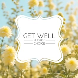 Yellow daisy-like flowers around a "Get Well Florist Choice" frame