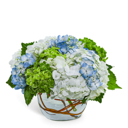 Blue, white, and green hydrangeas in a clear glass vase