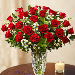 Roses in vase