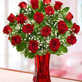 Red Roses in Red Vase