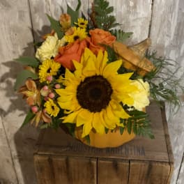 Sunflower and orange rose bouquet in a pumpkin container