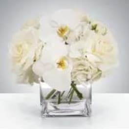 Linen by BloomNation™