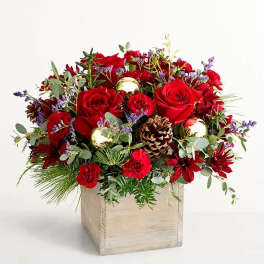 Red roses and burgundy flowers in a wooden box with pinecones