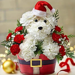 Santa-shaped floral arrangement in a red holiday container