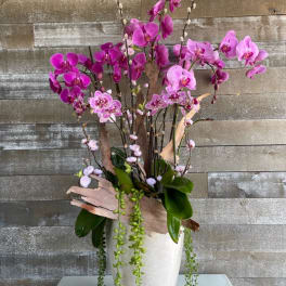 Pink orchid arrangement in a white vase with trailing greenery