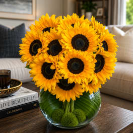 Sunflower Sphere