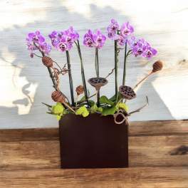 Purple orchids arranged in a rectangular brown planter with decorative pods