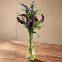 Midnight Calla