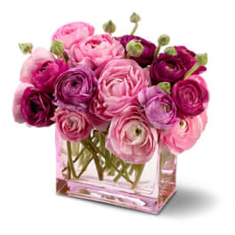 Petals In Pink