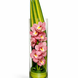 Pink orchids arranged in a tall glass vase with long green leaves