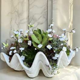 Succulent arrangement in a white wavy planter with small white blossoms