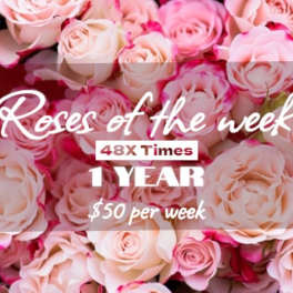 Close-up of pale pink roses with overlaid promotional text.