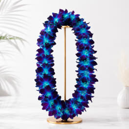 Blue Dendrobium Orchid Lei