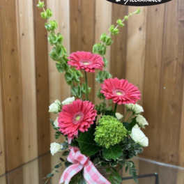 A Daisy A Day