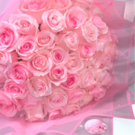Blush Dreams Rose Bouquet