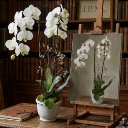White orchid arrangement in a small pot beside a matching painting on an easel