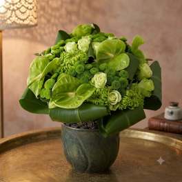 Green floral arrangement in a dark vase with broad leaves and pale blooms