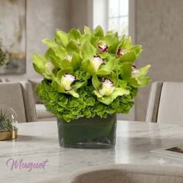 Green orchid and hydrangea arrangement in a square glass vase